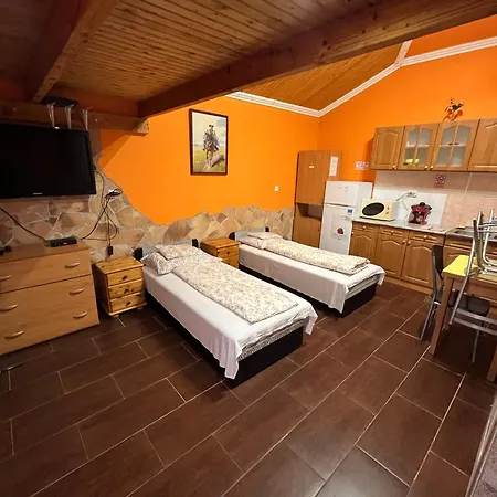 Tiszavirag Apartament *